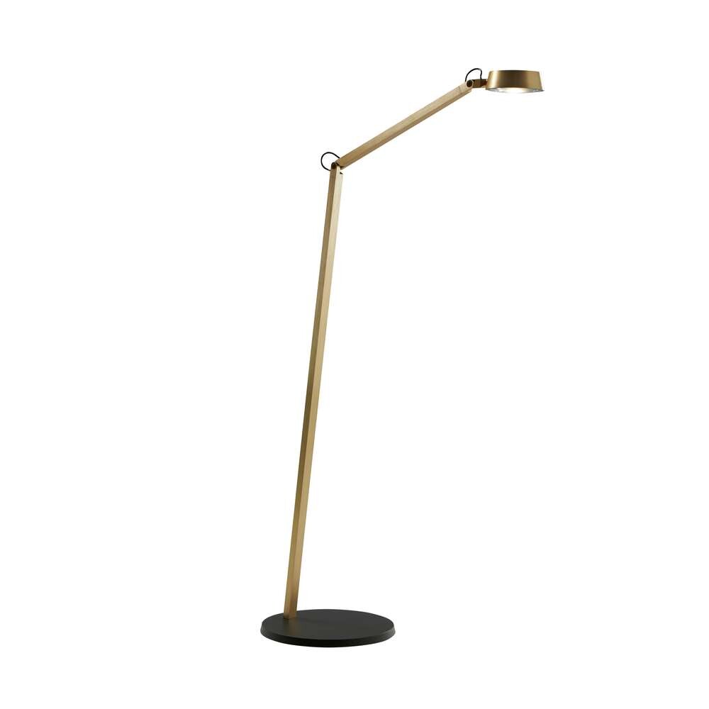 Light-Point - Dark F1 Gulvlampe Brass